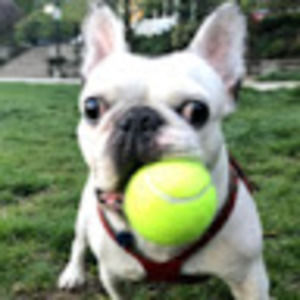 Meet your Posher, Leah